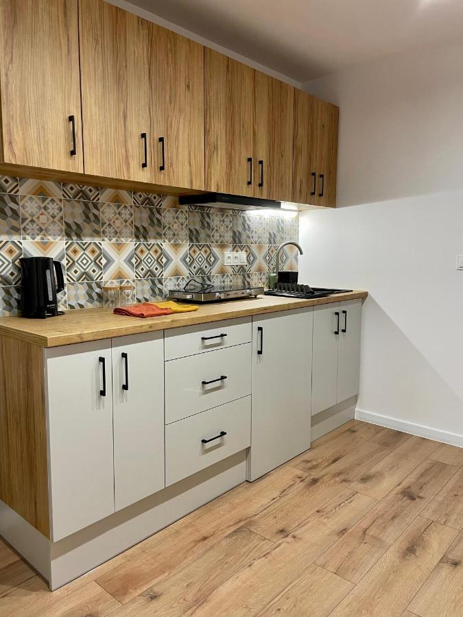 Przestronny Apartament W Centrum Miasta Radom Ngoại thất bức ảnh